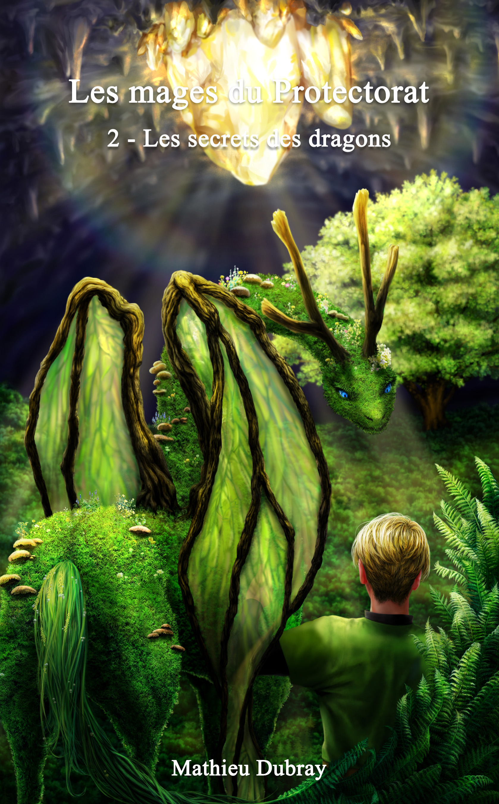 Les Mages du Protectorat — Les Secrets des Dragons